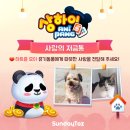 봄사랑동물병원 이미지