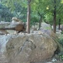 암벽등반벽 이미지