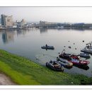 물고기세상 이미지