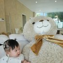 도고소풍스테이 이미지