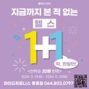 서홍동-11 이미지