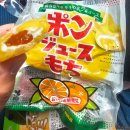 21세기 마트 | 일본 여행 기념품 및 구입품 후기 (돈키호테 및 마트 구입 외)