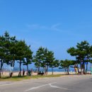 GS25낙산비치점 이미지