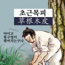 초근목피 네이버블로그