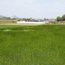 부동리마을회관 이미지