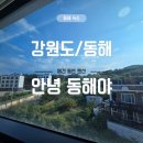 동해야 | [강원도/동해] 묵호, 동해 여행 숙소/복층,애견동반/내돈내산 후기_안녕동해야 펜션