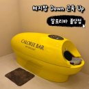 머슬핫바디 | 천안 다이어트 관리 | 칼로리바 다이어트 불당점에서 칼로리바+머슬랜더 1회 체험 후기!