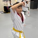 초이스태권도장 이미지