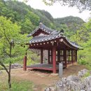 나리가펜션 | [정선펜션추천] 구미정계곡 옆 낭만 가득! '하늘나리펜션' 단체 워크샵 후기 (정선단체펜션)