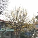 부원초등학교 | [강연후기] 경기과천교육도서관+부원초등학교