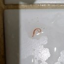 상수도사업본부 화장실 이미지