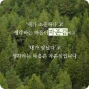 소설(小雪)이라는 절기에 그대의 안부를 여쭙니다. 이미지