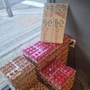 우곤농장 네이버블로그