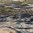 방우농장 이미지