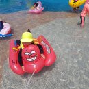 꿈자람물정원 | 춘천평화생태공원 꿈자람물정원 방문객 필독! 🏞️