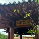 수완동 왕버들 이미지