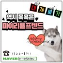 마이리틀프렌드위탁목욕