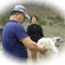 방주농장 이미지