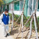 오션타운어린이집 이미지