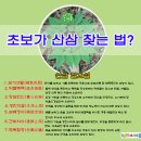 영초산삼 이미지