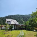 왕피리들꽃하우스 이미지