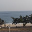 리조텔별관 네이버블로그