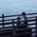 씨유 목포해양대학로점 | 목포 해상 케이블카 북항승강장 주차 및 소요시간