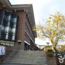 동국대학교 경주캠퍼스 박물관 Daum카페
