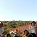 연이숲 이미지
