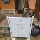 인다락벚꽃길 이미지