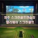 갤러웨이스크린골프