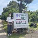 다희농장 이미지