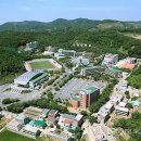 신성대학교