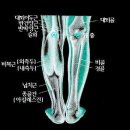 위중 Daum카페