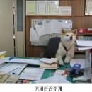 음 이미지