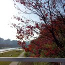 늘 평화로운 약국 이미지