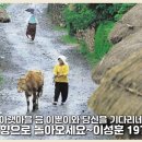 향-고향의 정 이미지