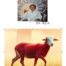 2027년도 월별운세 이미지