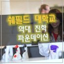 인텔리움 센텀 | 부산유학원 유학네트, 직접 경험한 리얼 후기!