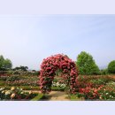 곡성-072 이미지