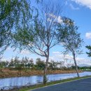 갈맷길(6-1구간) 이미지