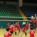 흥국체육관 이미지