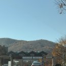 가-15 | 서울근교단풍명소 광주 가볼만한 곳 화담숲 실시간 후기 (11월 15일 방문)