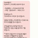 캐치홀릭 | 제주도 여행 유채꽃밭 비밀역카페 오랑우탄면사무소 모던돔베 행복한시저네 제주홀릭뮤지엄 엉또폭포