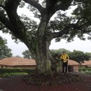 성읍리-24 이미지