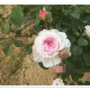 참살이농장 이미지