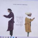 어른을 위한 그림책 테라피 | 노년설계 강의 #그림책 테라피, 어른을 위한 위로 한 페이지