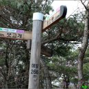 해철농장 Daum카페