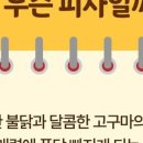 피자스쿨 - 음성군 무극로 255 | 피자스쿨
