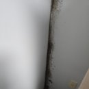 베스트빌 | 구로구 오류동 엘지베스트빌 거주청소 후기｜곰팡이 제거부터 공기까지 확 달라졌습니다